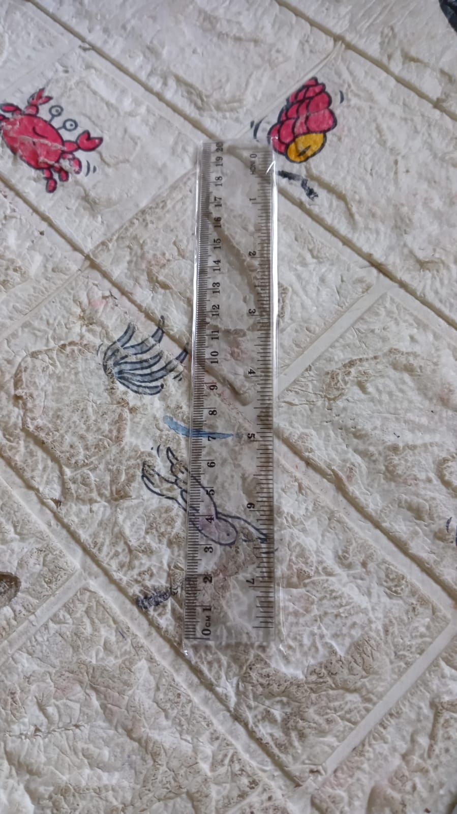 4840 20Cm Ruler For Student Purposes While Studying And Learning In Schools And Homes Etc. (1Pc) 4840 20Cm Ruler For Student Purposes While Studying And Learning In Schools And Homes Etc. (1Pc)